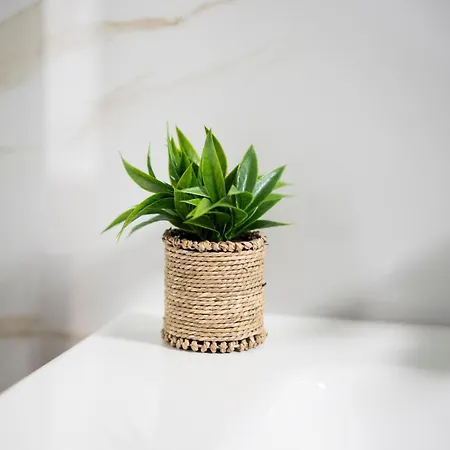 Le Conche - Flora Διαμέρισμα Marina di Lizzano