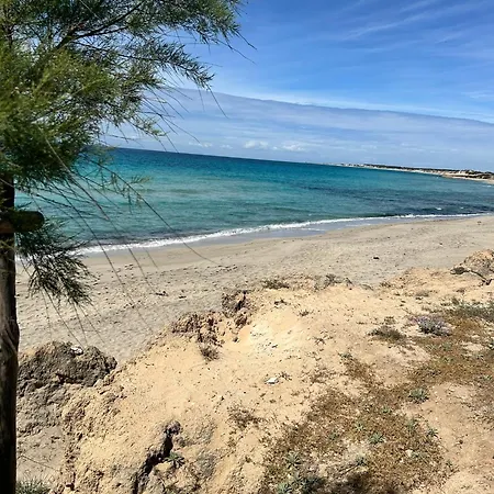 Διαμέρισμα Le Conche - Flora