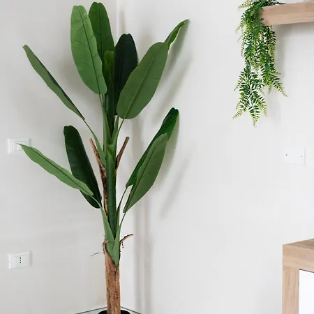 Lägenhet Le Conche - Flora Marina di Lizzano