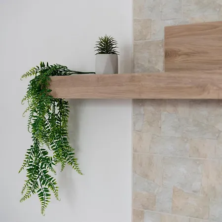 Le Conche - Flora Marina di Lizzano